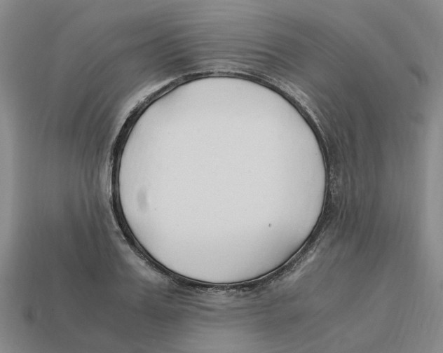 X0000113170987200910021519