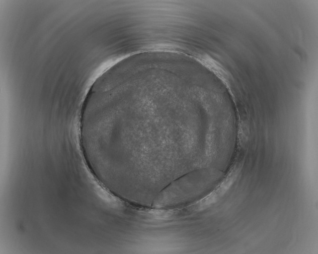 X0000113170989200910021519