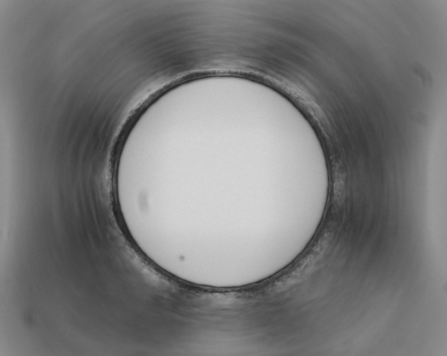 X0000113170990200910021519
