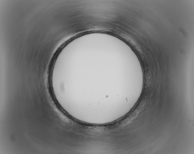 X0000113170991200910021519