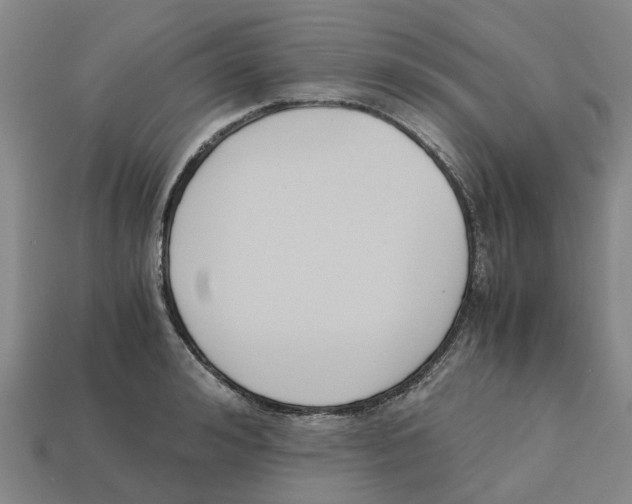 X0000113170992200910021519