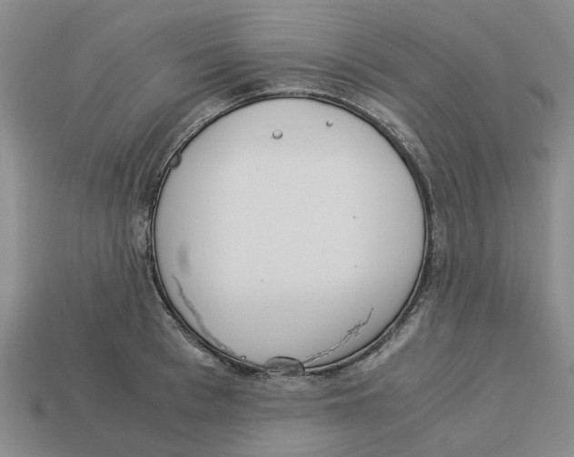 X0000113170993200910021519