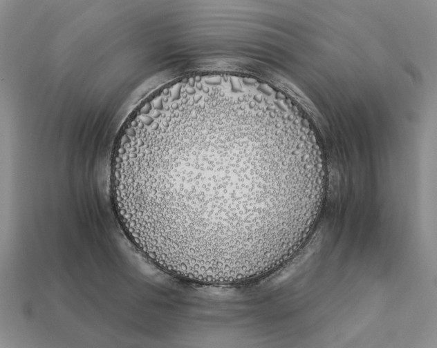 X0000113170994200910021519