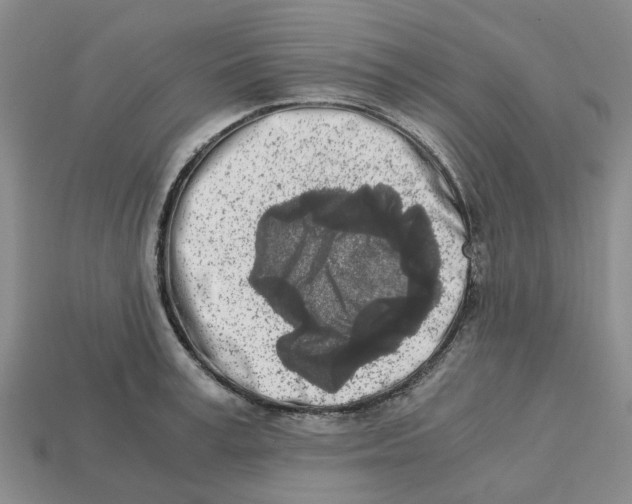 X0000113170995200910021519