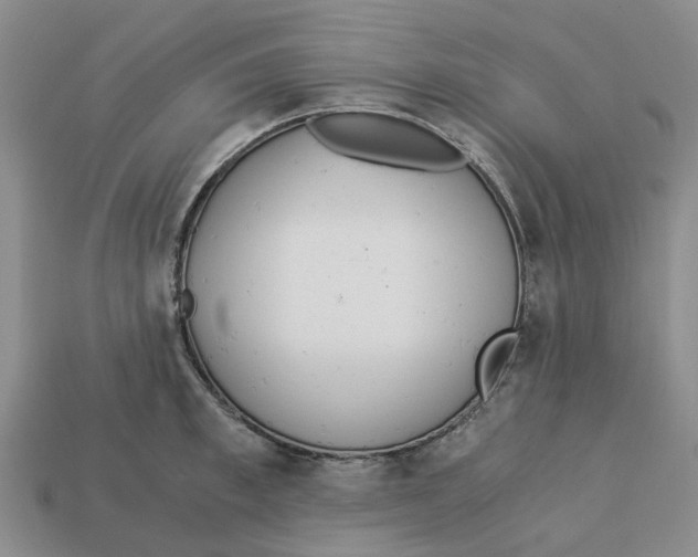 X0000113170997200910021518