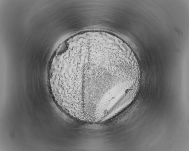 X0000113170998200910021518