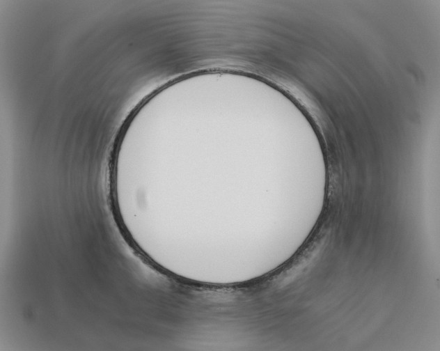 X0000113170999200910021518