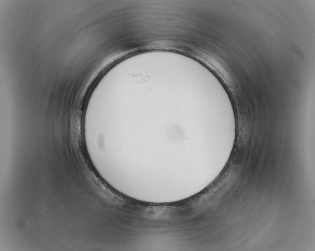 X0000113171000200910021518