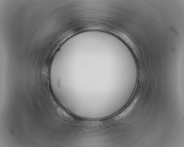 X0000113171001200910021518