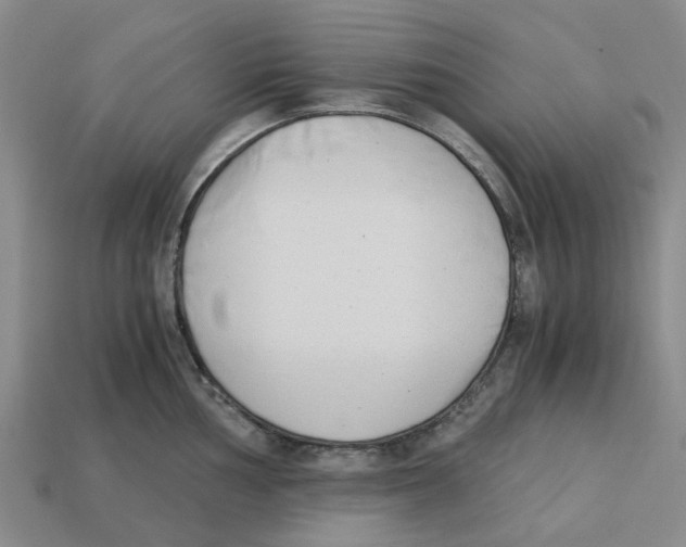 X0000113171002200910021518