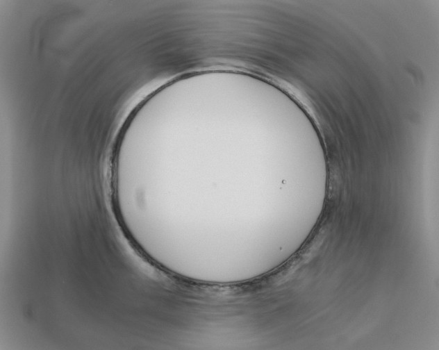 X0000113171003200910021518