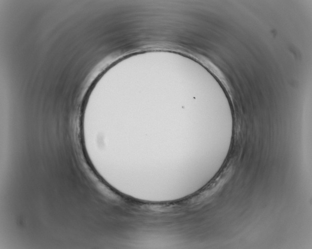 X0000113171005200910021518