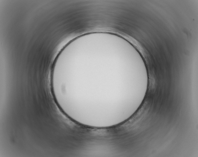 X0000113171006200910021518