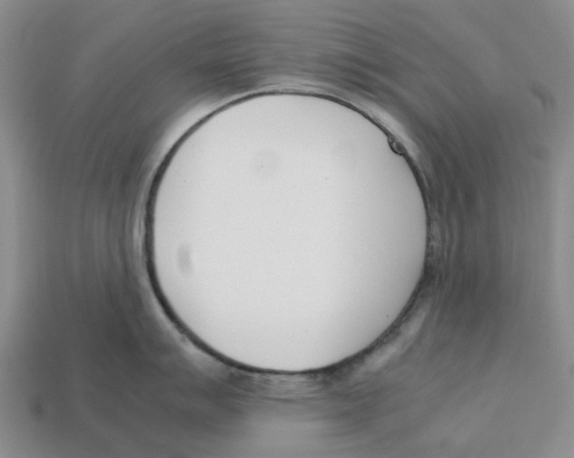X0000113171007200910021518