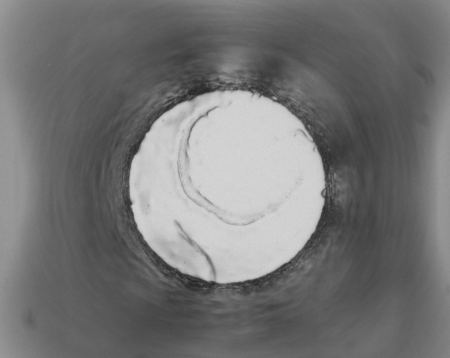 X0000113171009200910021518