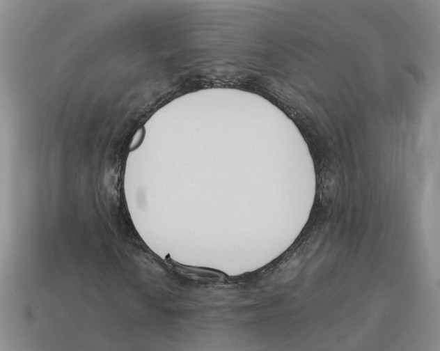X0000113171010200910021518