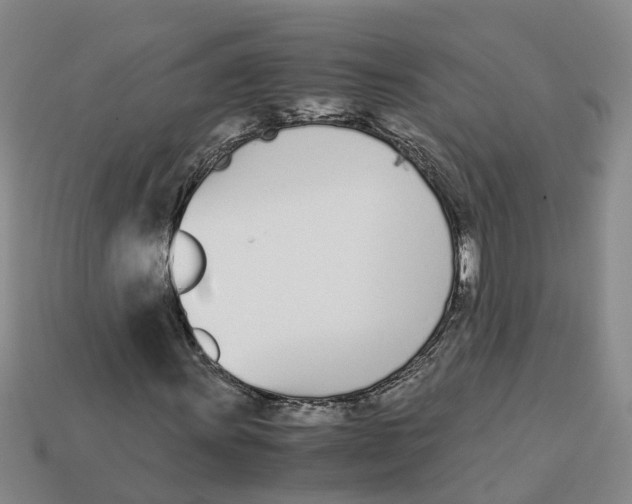 X0000113171011200910021518