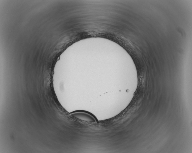 X0000113171012200910021518