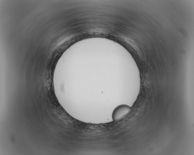 X0000113171015200910021518
