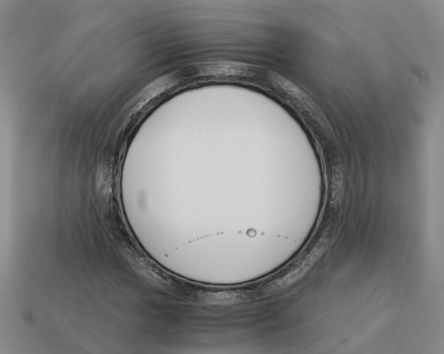 X0000113171017200910021518