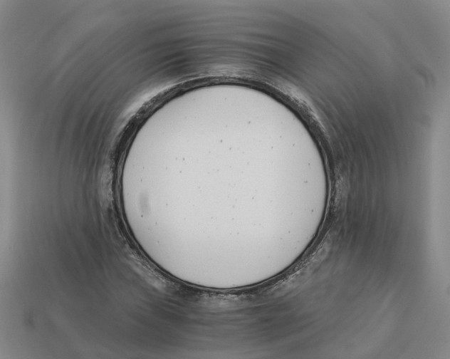 X0000113171019200910021518