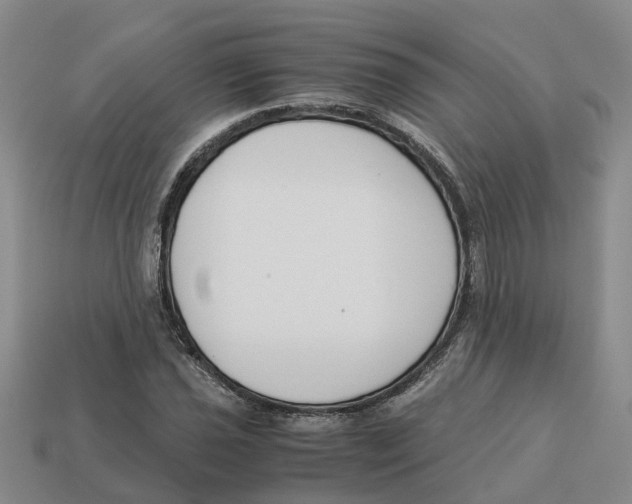 X0000113171021200910021518