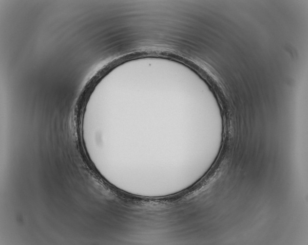 X0000113171022200910021518