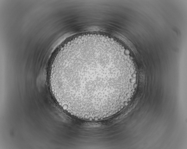 X0000113171023200910021518