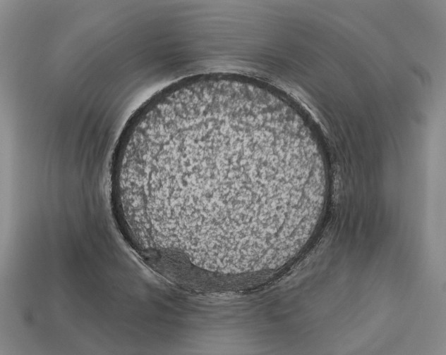 X0000113171024200910021518