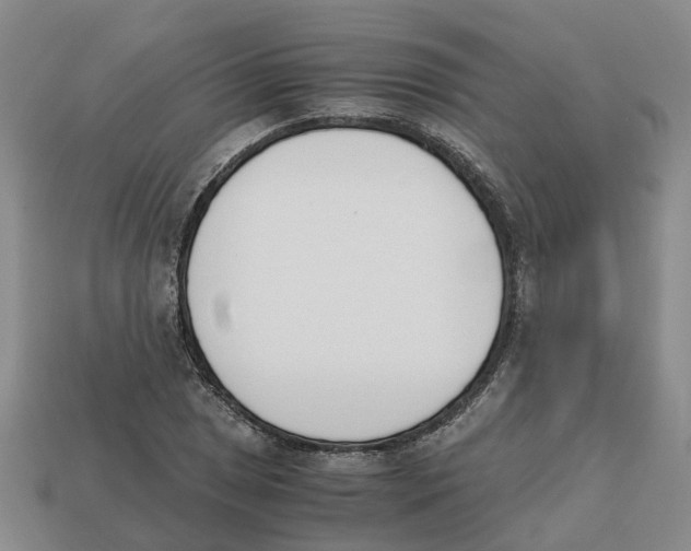 X0000113171025200910021518