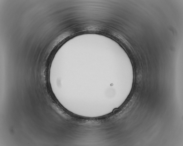 X0000113171026200910021518