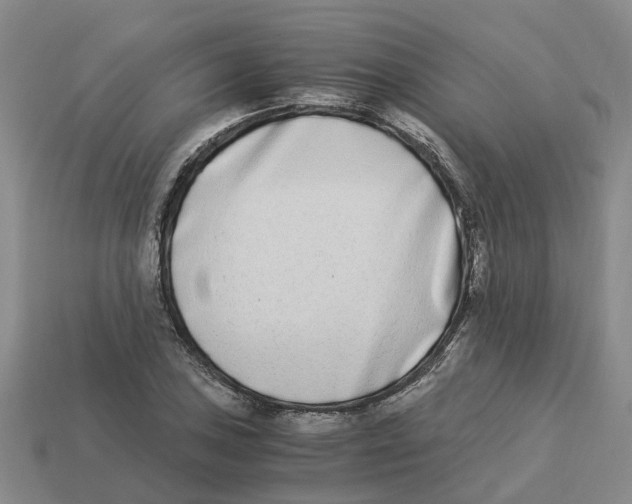 X0000113171027200910021518