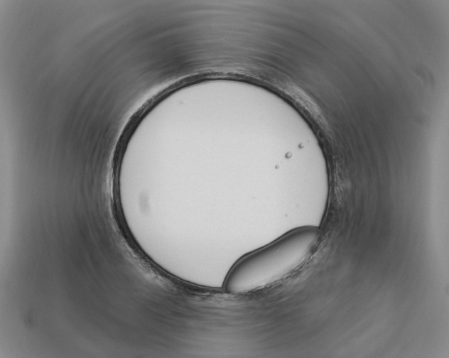 X0000113171028200910021518