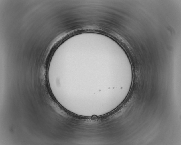 X0000113171029200910021518