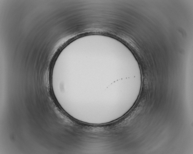 X0000113171030200910021518