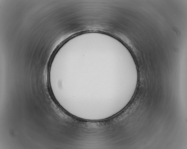 X0000113171032200910021518