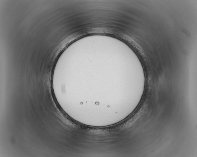 X0000113171033200910021518