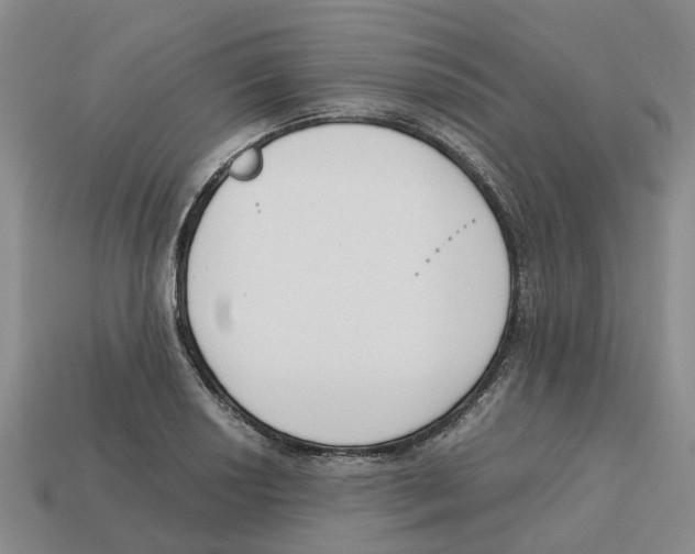 X0000113171034200910021518