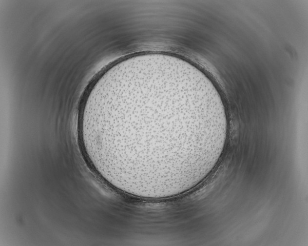 X0000113171035200910021518