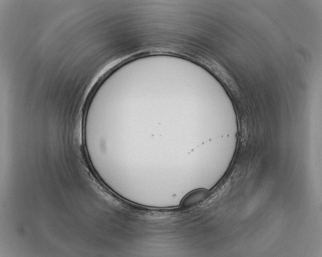 X0000113171036200910021518