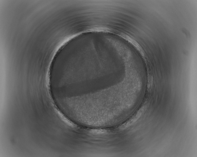 X0000113171037200910021518