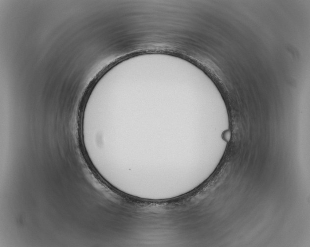 X0000113171038200910021518