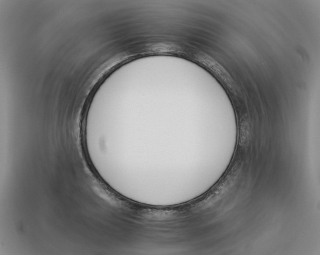 X0000113171039200910021518