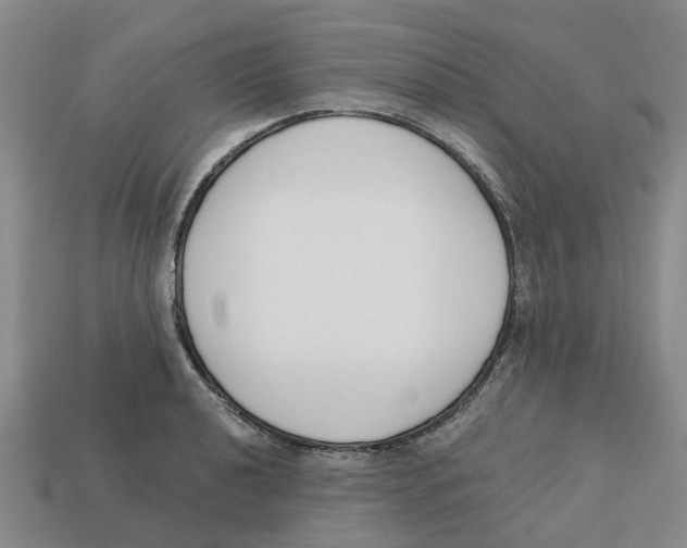 X0000113171040200910021518