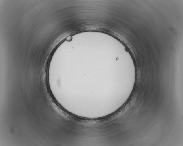 X0000113171042200910021518