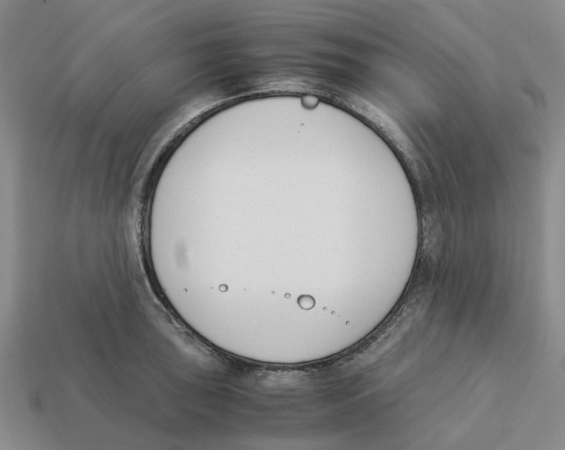 X0000113171043200910021518