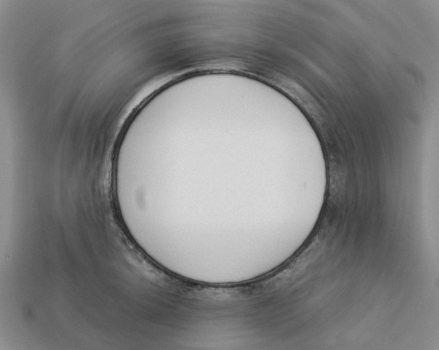 X0000113171044200910021518