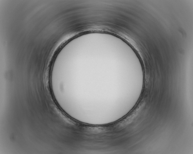 X0000113171045200910021518
