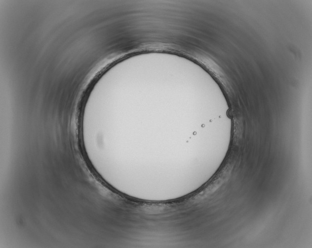 X0000113171046200910021518