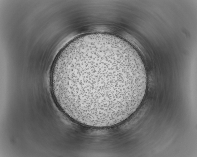 X0000113171047200910021518